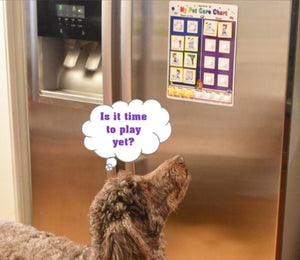 Kid Inspired Dog Care System by Kenson Kids - Kenson Parenting Solutions